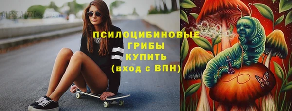МДПВ Козельск