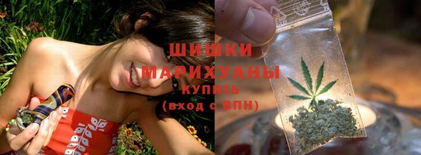 МДПВ Козельск