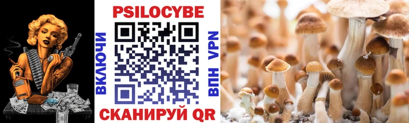 сколько стоит Чулым Галлюциногенные грибы MAGIC MUSHROOMS